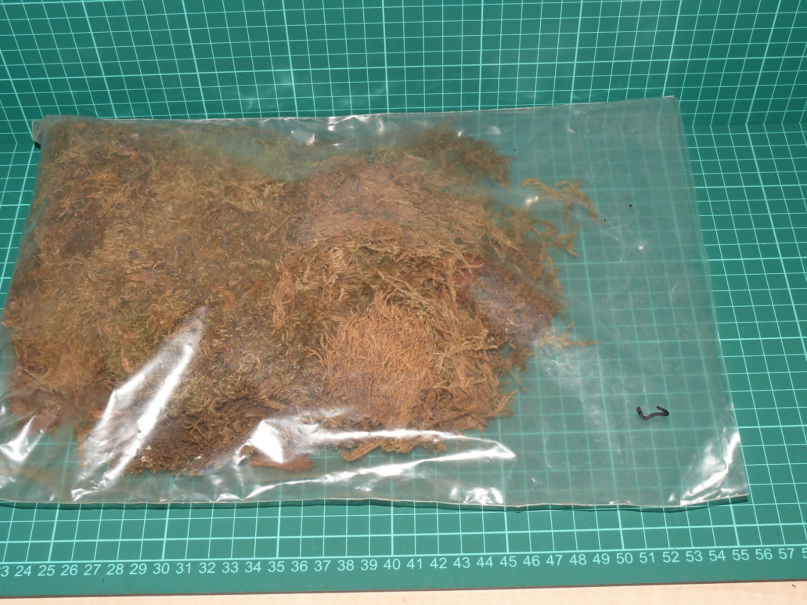 Přírodní modelářský mech / lišejník – velký sáček (cca 30x20 cm, podzimní směs) – Ostatní